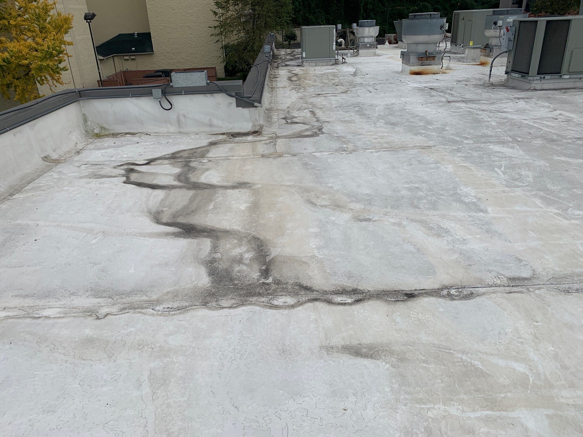 Hurricane-Remnant Rain Repair