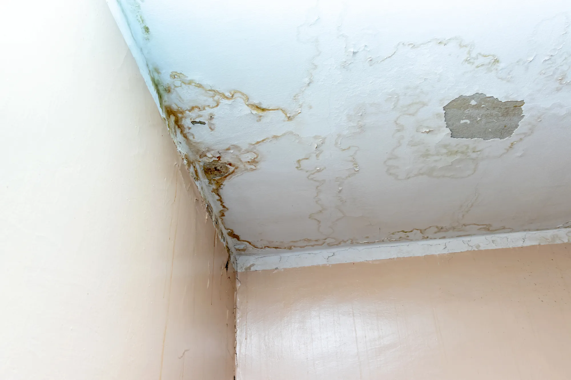 UV and Membrane Weathering