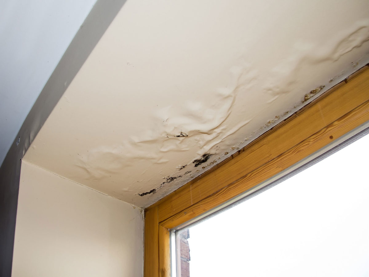 Humidity & Trapped-Moisture Commercial Roof Repair